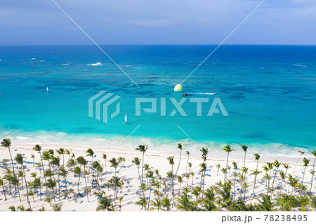 Aerial view from drone on seashore with palm trees and sunbeds 78238495