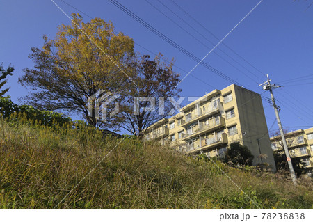 千里ニュータウン新千里西町（大阪府豊中市）の府公社新千里西町団地 78238838