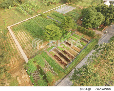 Birds Eye View of the vegetable fields and agricultural  78238900