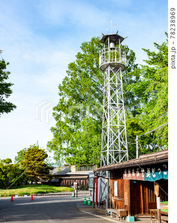 初夏の古都　小布施の美しい景色　北斎館前のメタセコイヤ 78238969