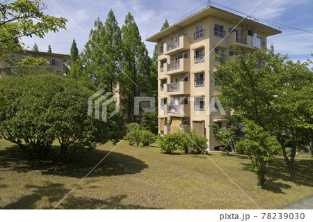 千里ニュータウン青山台(大阪府吹田市)のUR千里青山台団地 千里ニュータウン青山台(大阪府吹田市)のUR千里青山台団地 78239030