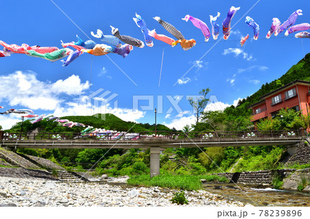 板室温泉に流れる那珂川と鯉のぼり 78239896