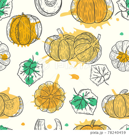 Seamless pattern with pumpkin, vector. Seasonal fall template with sketches of various pumpkins. Autumn background for Thanksgiving Day. 78240459