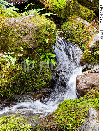 初夏の清涼な深山幽谷の景色　清らかな滝と流れ 78240967