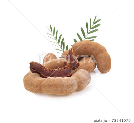 Tamarind fruits with green leaves isolated on white background. Tamarind fruits with green leaves isolated on white background. 78241076