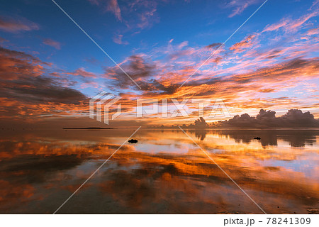 Gorgeous colorful sunrise reflected on the sea like a mirror. Iriomote Island, natural world heritage. Gorgeous colorful sunrise reflected on the sea like a mirror. Iriomote Island, natural world heritage. 78241309