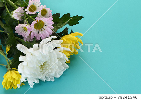 菊の花　仏花 78241546