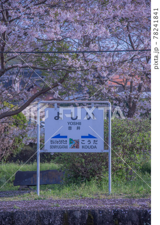 駅看板と桜 78241841
