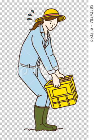 Agricultural work Luggage packing Cardboard basket Field work Illustration Female 78242395