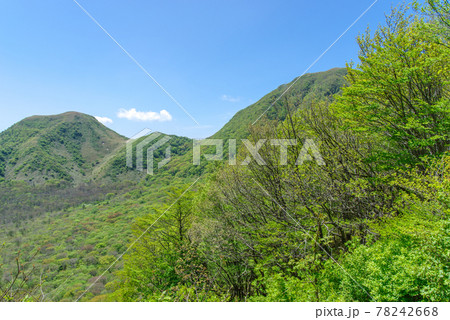 三瓶山 上リフト降り口から大平山展望台までの景色(2021年5月) 三瓶山 上リフト降り口から大平山展望台までの景色(2021年5月) 78242668