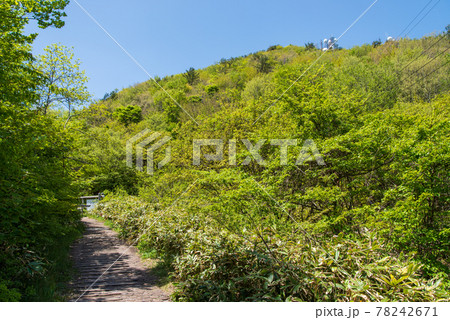 三瓶山 上リフト降り口から大平山展望台までの景色(2021年5月) 三瓶山 上リフト降り口から大平山展望台までの景色(2021年5月) 78242671