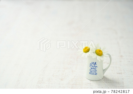 マーガレット 花の背景素材 マーガレット 花の背景素材 78242817