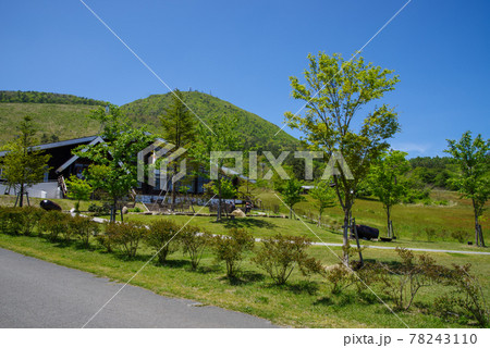 島根県 大田市 三瓶山 東の原の景色（2021年5月） 78243110