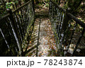森の中にある古びた橋 78243874