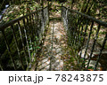 森の中にある古びた橋 78243875