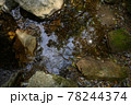 水面に反射する自然の風景 78244374
