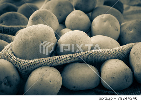 たくさんの新じゃがいも　新じゃが　新ジャガ 78244540