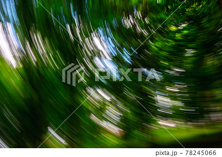 Abstract green background from circular movements of the camera Abstract green background from circular movements of the camera 78245066