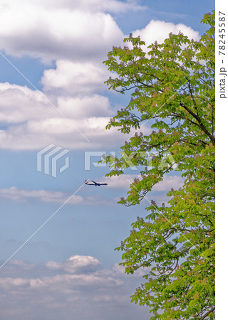 Plane over Windsor Castle - the Long Walk - England United Kingdom Plane over Windsor Castle - the Long Walk - England United Kingdom 78245587