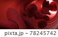 Red blood cells flowing through the veins. Close up view from inside. 3d rendering. Medicine and science micro technology. 78245742