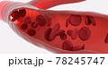 Red blood cells flowing through the veins. Close up view from inside. 3d rendering. Medicine and science micro technology 78245747