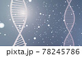 Digital illustration DNA structure in colour background. 3d render 78245786