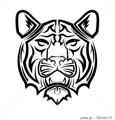 Black and white line art of tiger head Good use... - Stock Illustration  [78246175] - PIXTA