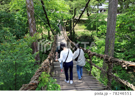越前池田町のかずら橋（福井県 池田町） 78246551