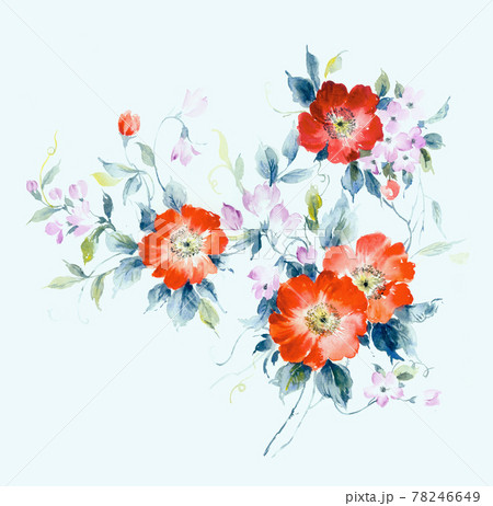 透明水彩 水彩画 花 78246649