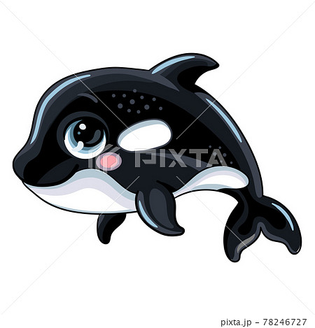 Funny cute happy orca vector isolated illustration 78246727