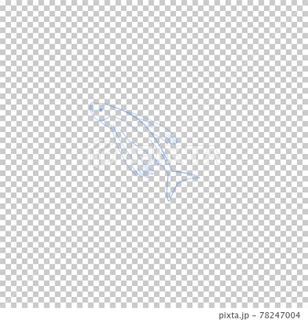 とびうお座・星座絵・南天の星座 78247004