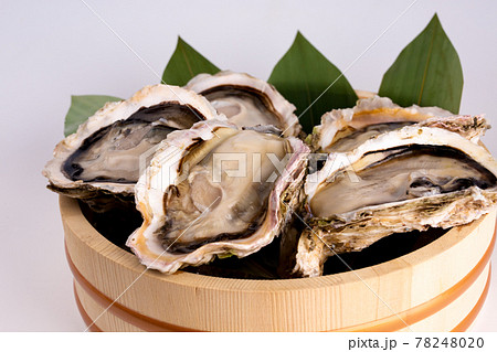 牡蠣 食材 牡蠣 食材 78248020