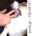 ぐわぁー 78248747