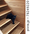 階段にて変な体勢で休む猫 78249220