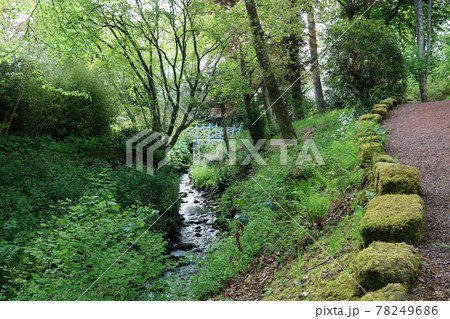 Small Stream with Bridge and Footpath in a Public Country Park 78249686