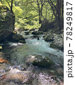 森林の中の川の流れ 78249817