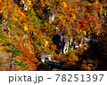 紅葉スポット 78251397