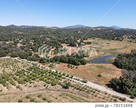 Aerial view of apple tree land in Julian, town famous for its apples and apple pie. California, USA Aerial view of apple tree land in Julian, town famous for its apples and apple pie. California, USA 78251608