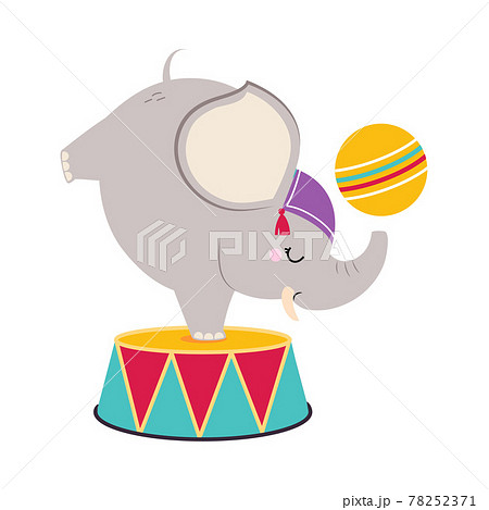 Circus Elephant Animal On Drum With Ball のイラスト素材