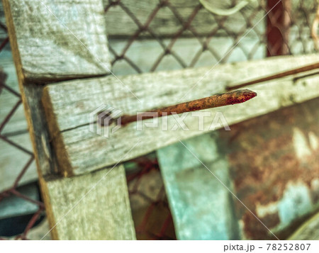 A large long rusty old iron metal construction industrial nail sticks out of a wooden plank A large long rusty old iron metal construction industrial nail sticks out of a wooden plank 78252807