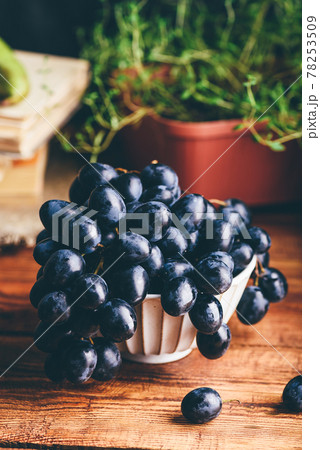 Bowl of Dark Blue Grapes Bowl of Dark Blue Grapes 78253509