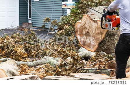 Cleaning up storm damage using a chainsaw 78253551