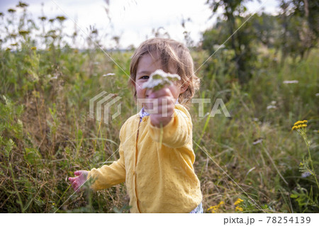 adorable little toddler stretches a flower into the camera in a summer field on a sunny day adorable little toddler stretches a flower into the camera in a summer field on a sunny day 78254139