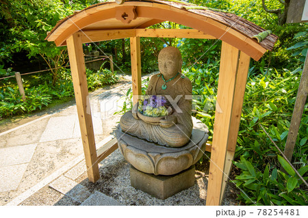 神奈川県 鎌倉 明月院 神奈川県 鎌倉 明月院 78254481