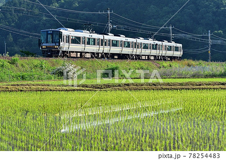鉄道　列車　jr  山陰本線　京都口　水鏡　田園　田んぼ　初夏　京都　亀岡　南丹市　嵯峨野線　普通　 78254483