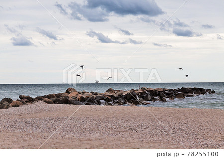 Landscape coast of the sea with stone piers, they are seagulls a Landscape coast of the sea with stone piers, they are seagulls a 78255100