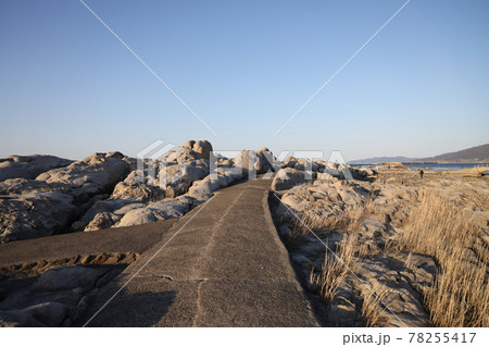 鴨ヶ浦散歩道 78255417