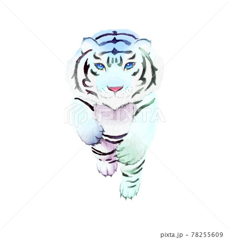 手描き水彩画　虎　ホワイトタイガー ホワイトタイガーの水彩画 - サイン入り限定版野生動物アート - Etsy 日本