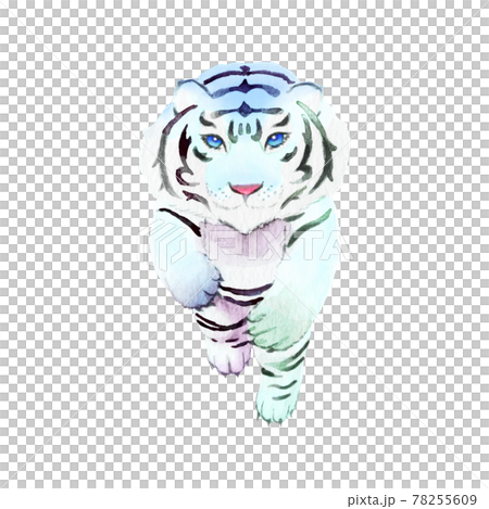 手描き水彩画　虎　ホワイトタイガー ホワイトタイガーの水彩画 - サイン入り限定版野生動物アート - Etsy 日本