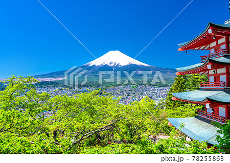 《山梨県》富士山と新緑と五重の塔・新倉山浅間公園 78255863